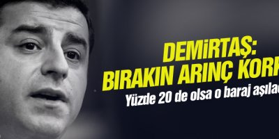 Demirtaş: Bırakın Arınç Korksun!