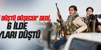 ‘Kobani düştü düşecek’ dedi, 6 ilde oyları düştü