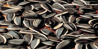 Diyabete karşı ay çekirdeği tüketin