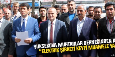 Yüksekova Muhtarlar Derneği, Elektrik Kesintilerine Tepki Gösterdi