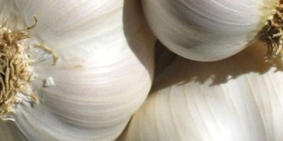 Zayıflatan sarımsak suyu kürü