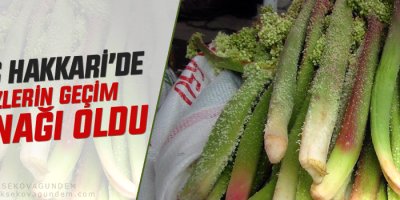 Revas 'işsizlerin geçim kaynağı oldu'