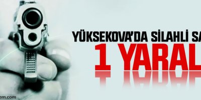 Yüksekova’da silahlı saldırı: 1 yaralı