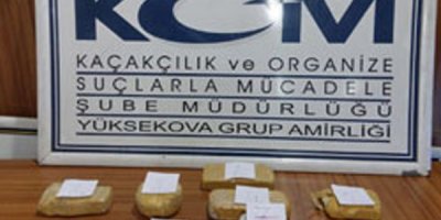 Yüksekova'da 2 kilo kokain ele geçirildi