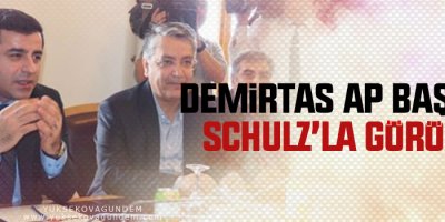 Demirtaş AP Başkanı Schulz’la görüştü