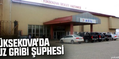 Yüksekova'da Domuz Gribi Şüphesi
