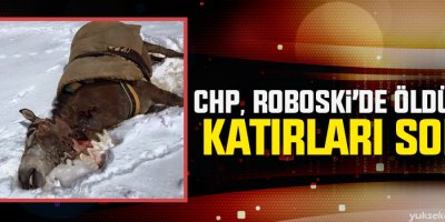 CHP, Roboski’de öldürülen katırları sordu
