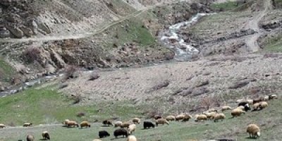 Isınan havalar çiftçileri sevindirdi