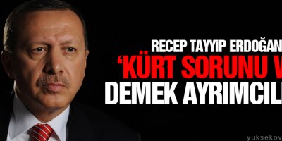 Erdoğan: ‘Kürt sorunu var’ demek ayrımcılıktır
