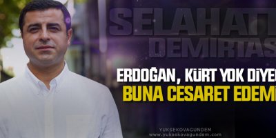 Demirtaş: Erdoğan, Kürt yok diyecek de buna cesaret edemiyor