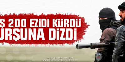 DAİŞ 200 Ezidi Kürdü Kurşuna Dizdi
