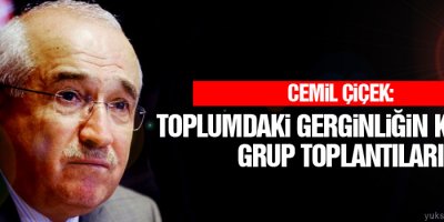Çiçek: Toplumdaki gerginliğin kaynağı grup toplantıları
