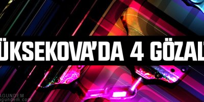 Yüksekova'da 4 gözaltı