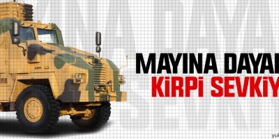 Kirpi sevkiyatı başladı