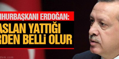 Erdoğan: Aslan yattığı yerden belli olur