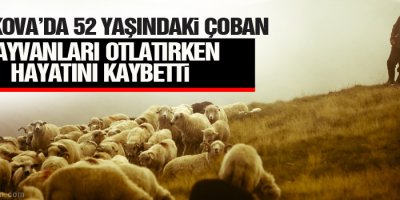 Yüksekova'da çoban hayvan otlatırken hayatını kaybetti