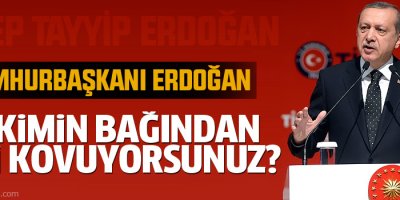 Erdoğan: Siz kimi kimin bağından kovuyorsunuz