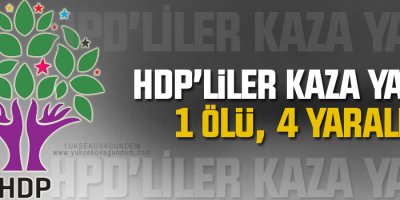 HDP’liler kaza yaptı: 1 ölü, 4 yaralı