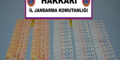 Şemdinli'de 5 bin TL sahte para yakalandı
