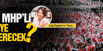 HDP'ye oy verecek MHP'liler kaç kişidir?