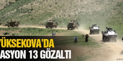 Yüksekova'da Operasyon 13 Gözaltı