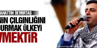 Demirtaş: AKP’nin çılgınlığını durdurmak ülkeyi sevmektir