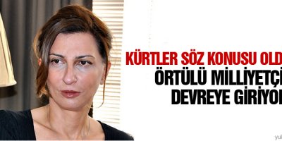 ‘Kürtler söz konusu olduğunda örtülü milliyetçilik devreye giriyor’