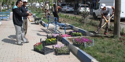 Yüksekova Orta Refüj'de Çiçek Dikimi yapıldı