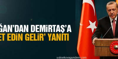 Erdoğan’dan Demirtaş’a ‘davet edin gelir’ yanıtı