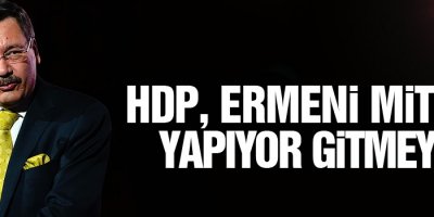 Gökçek: HDP, Ermeni mitingi yapıyor gitmeyin