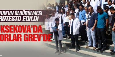 Yüksekova'da Doktorlar Grev'de