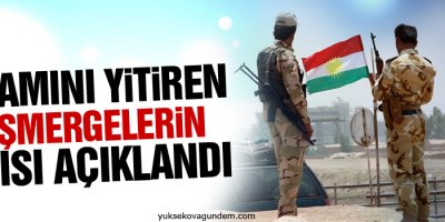 Yaşamını yitiren Peşmergelerin sayısı açıklandı