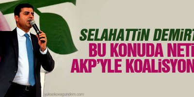 Demirtaş: Bu konuda netiz, AKP’yle koalisyon yok