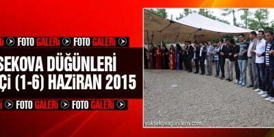 Yüksekova hafta içi düğünleri (1-6 Haziran 2015)