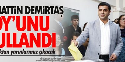 Demirtaş, Oyunu kullandı