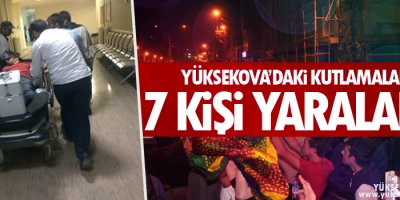 Yüksekova'daki Kutlamalarda 7 kişi yaralandı