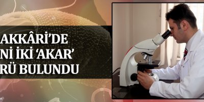 Hakkari’de Yeni İki ‘Akar’ Türü Bulundu