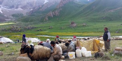 Çözüm süreci yöreye hayat veriyor
