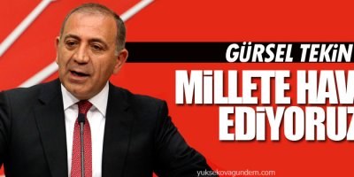 Tekin: Millete havale ediyoruz