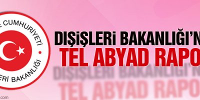 Dışişleri Bakanlığı’ndan Tel Abyad raporu