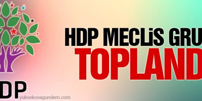 HDP grubu toplandı