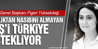 Yüksekdağ: İnsanlıktan nasibini almayan DAİŞ'i Türkiye destekliyor