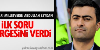 HDP Hakkari Milletvekili Zeydan İlk soru önergesini verdi