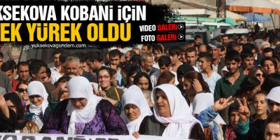 Yüksekova Kobani için tek yürek oldu