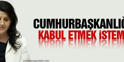 Buldan: Cumhurbaşkanlığı'nı kabul etmek istemem