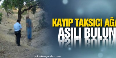 Kayıp taksici ağaçta asılı bulundu
