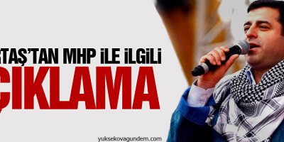 Demirtaş'tan MHP ile ilgili açıklama