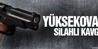 Yüksekova'da kavga: 2 yaralı