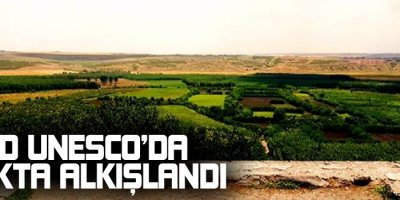 Amed UNESCO’da ayakta alkışlandı