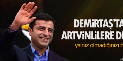 Demirtaş'tan Artvinlilere destek, yalnız olmadığınızı bilin